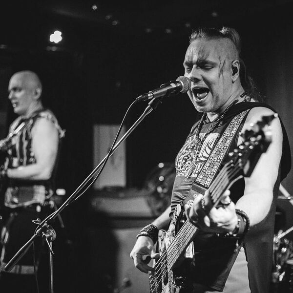 Скворцы Степанова