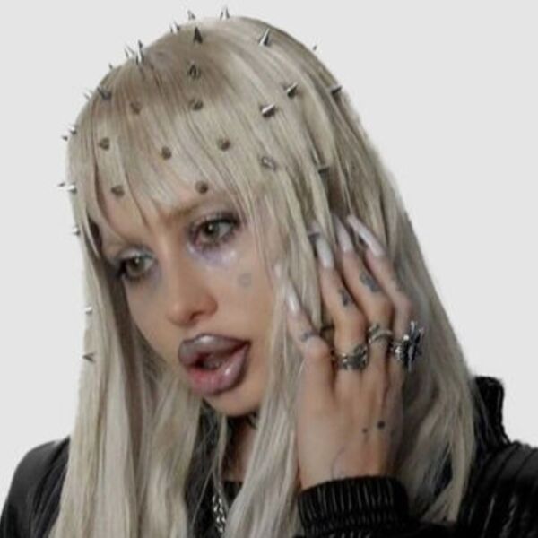 Концерт Hofmannita