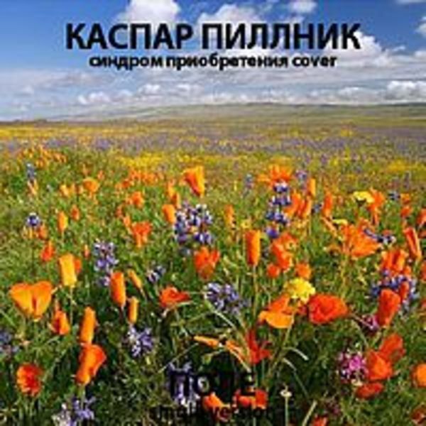 Поле. Single version 2014 ( Синдром Приобретения cover. Single )