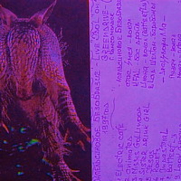 Live on greendrive+Drazdofilla 1997год