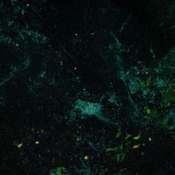 Панки из подворотни 2