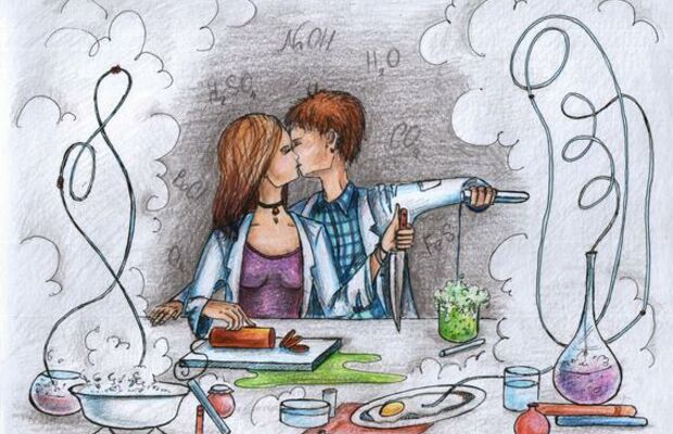 Ваша светлость (иллюстрации к альбому)