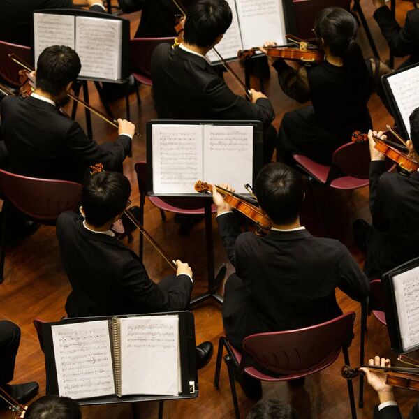 Советская эстетика: Sinteza Orchestra