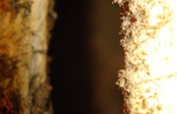 в процессе )