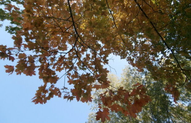 Сентябрьский