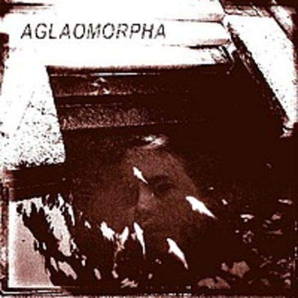 AGLAOMORPHA OLD 2006-2009