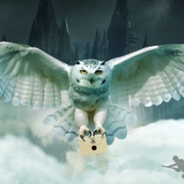 Концерт оркестра «Sonorus» «Гарри Поттер»