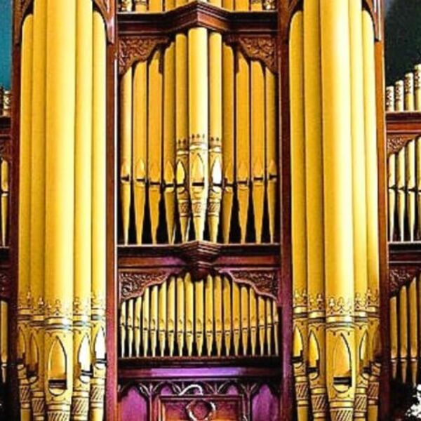 Органный концерт. Золотая классика в Петрикирхе, Кафедральный собор св ...