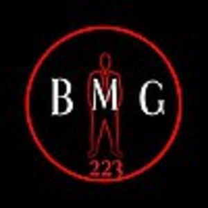 BMG 223