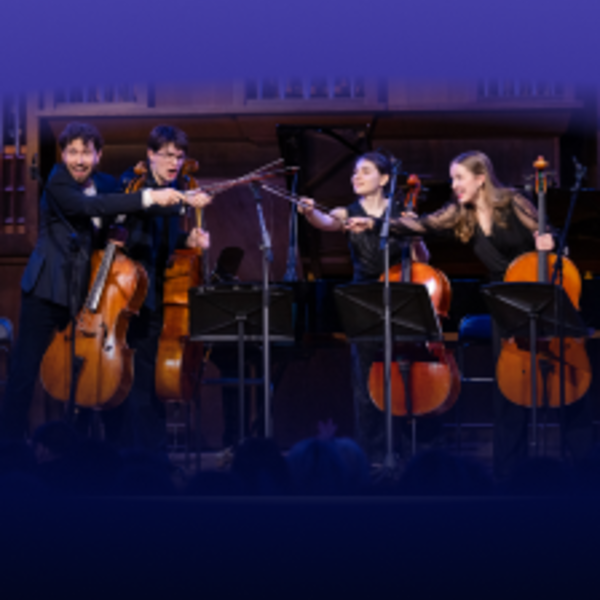 Международный день виолончели.Звезды Всероссийской виолончельной академии