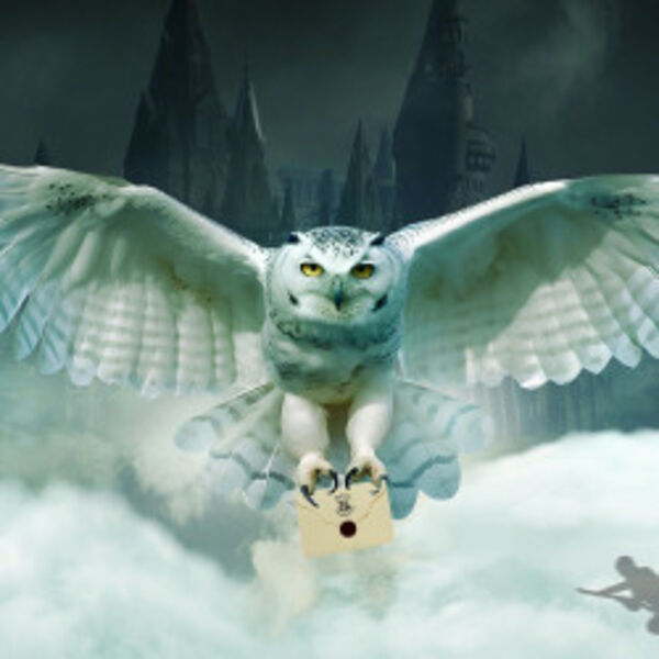 Гарри Поттер. Оркестр «Sonorus»