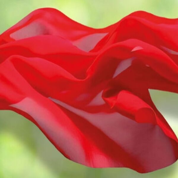 Краски танго