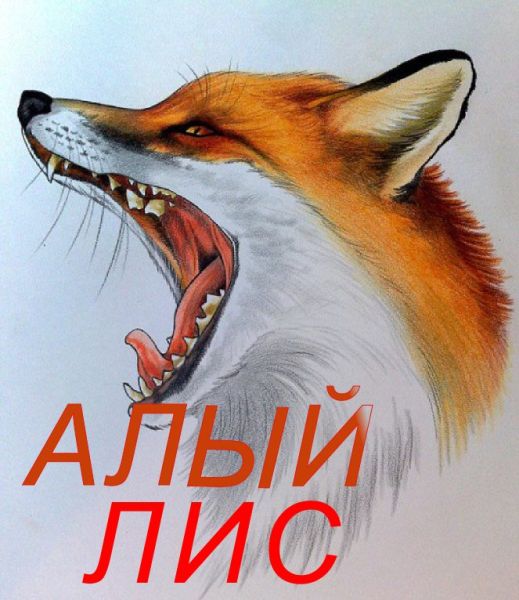 image_8635c976e5c73dc5ab8ee13752bf5b89.jpeg