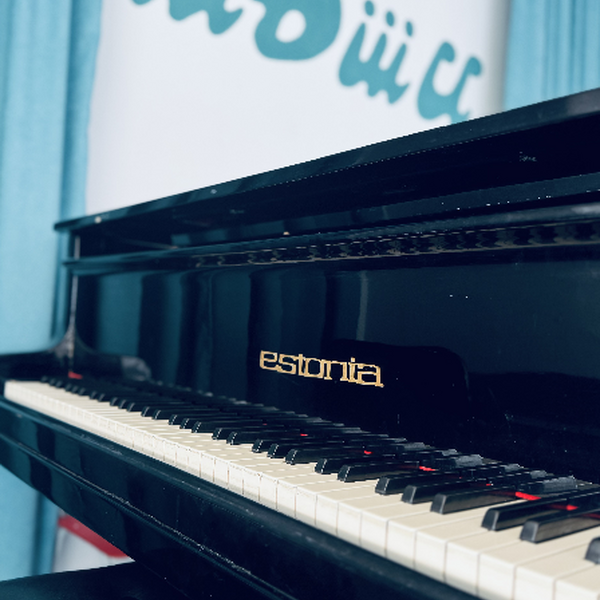 Магия живого звука. Концерт