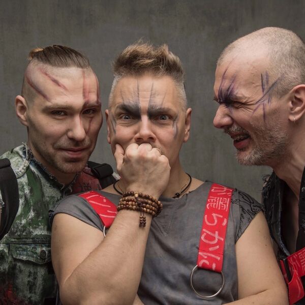 Скворцы Степанова