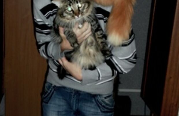 непосредственно мы))