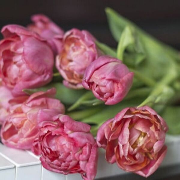 Для любимых женщин