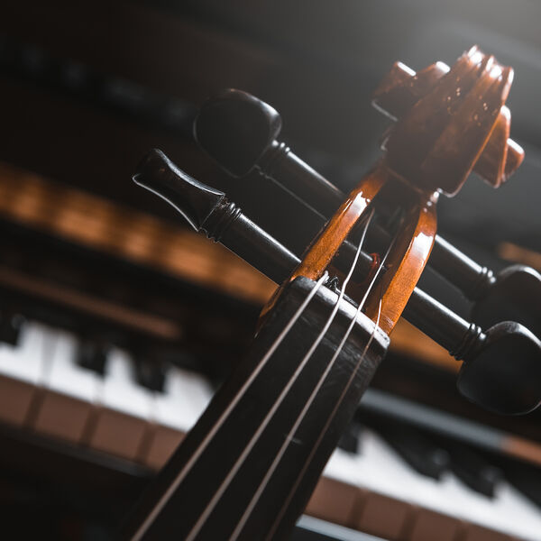 РАСО. Покорившая мир