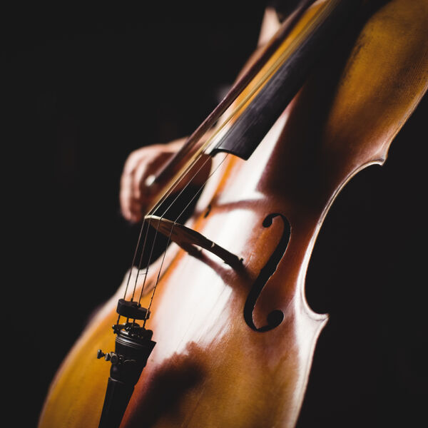 Свет, побеждающий тьму