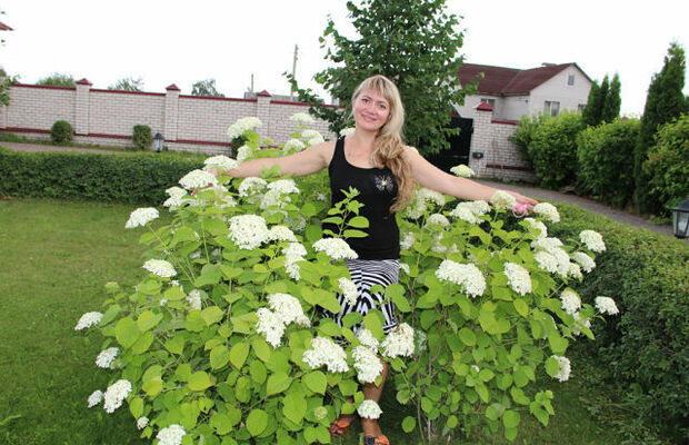 Оля Владимирова