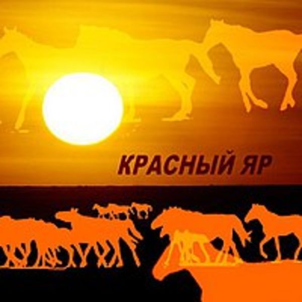 Не лучший сын