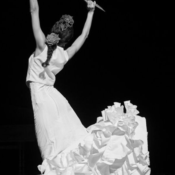 Мавританские виолы фламенко