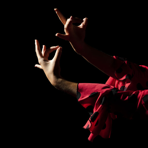 Flamenco на крыше