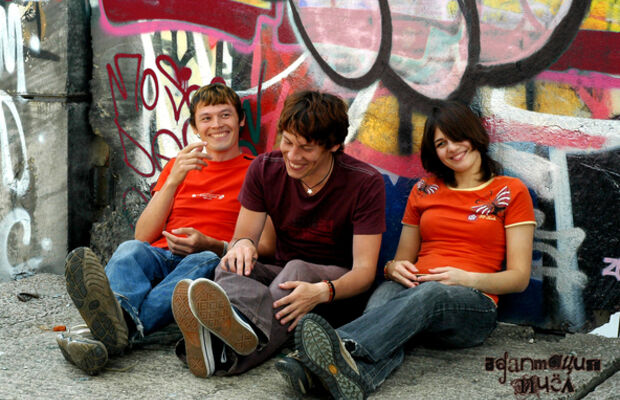 Адаптация Пчёл