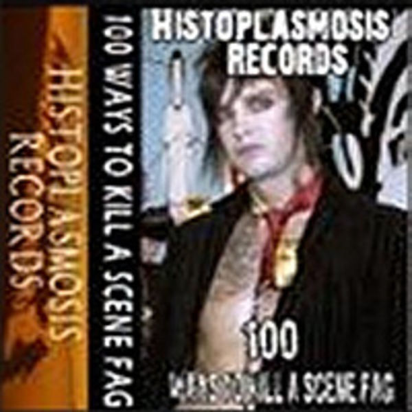 100 Ways to Kill a Scene Fag - [100 way split tape] - 2010