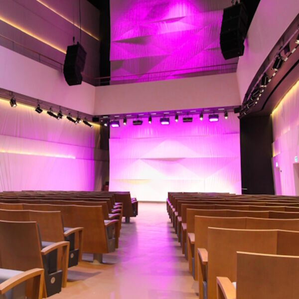 Писатели-меломаны. Достоевский