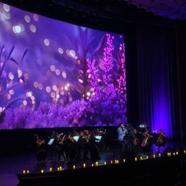 Дудук с оркестром