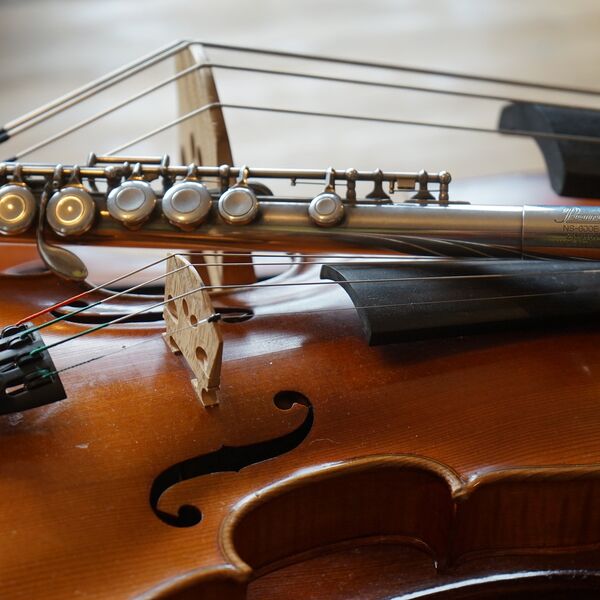 Приключения Буратино и его друзей