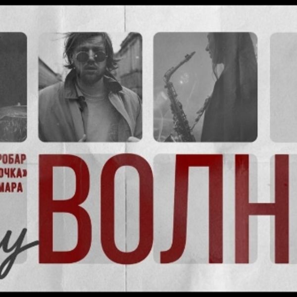 Акустический Vlny