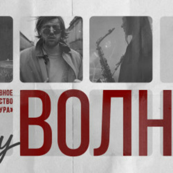 Группа «Vlny»