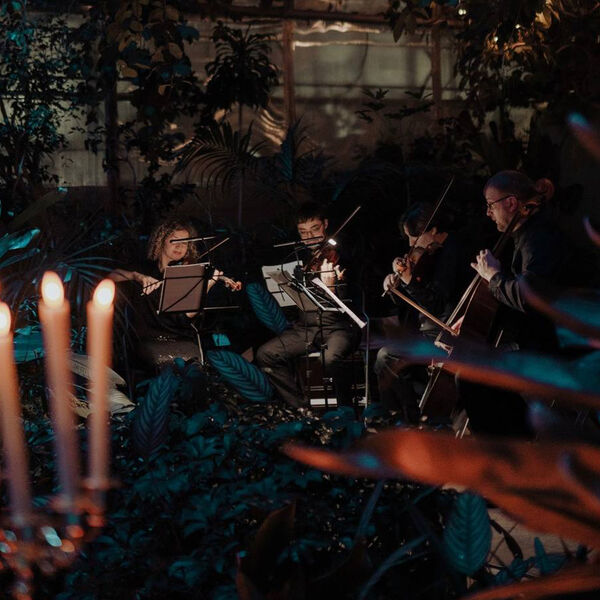 Магия свечей. Романтическая неоклассика: Людовико Эйнауди в оранжерее