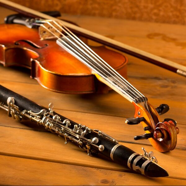 Классика и романтизм: Шуман, Моцарт, Брух