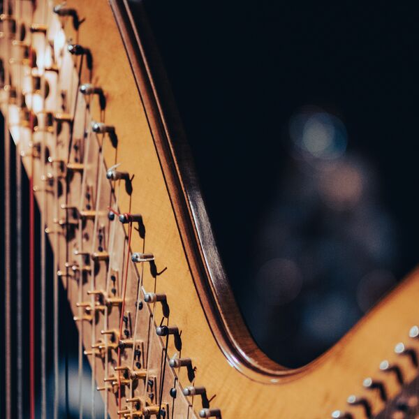 Кларнет и арфа: диалог в звуке. Классика при свечах