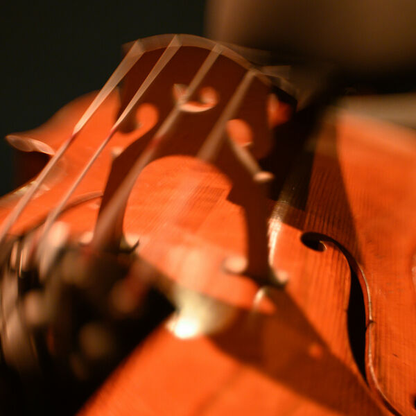 Элгар / Сибелиус