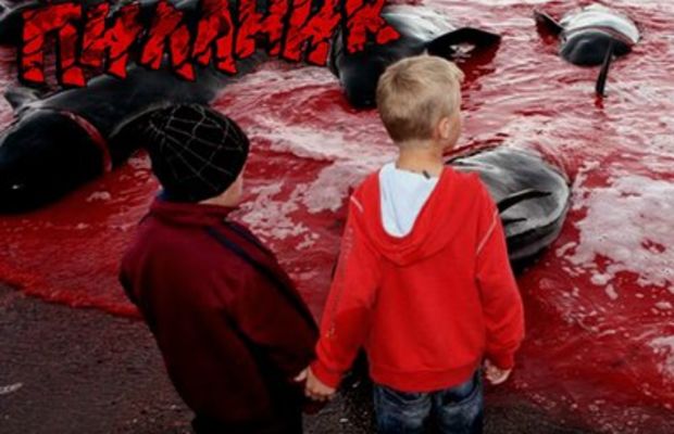Обложки альбомов 