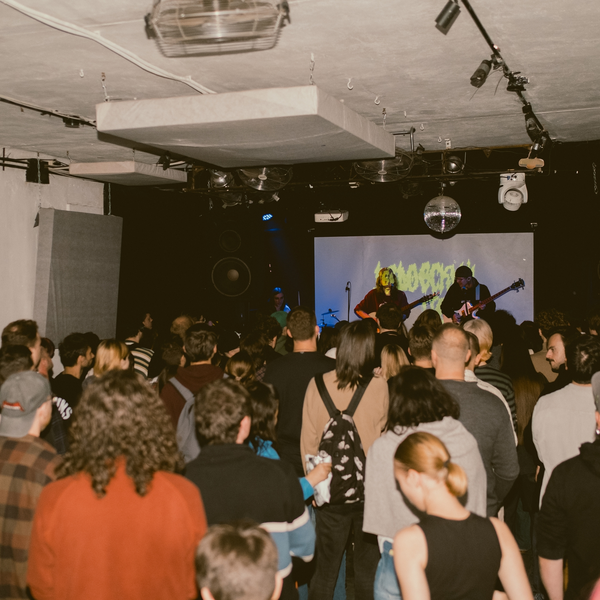 Телеэкран, Побег, Дедовский свитер, Шумозавры