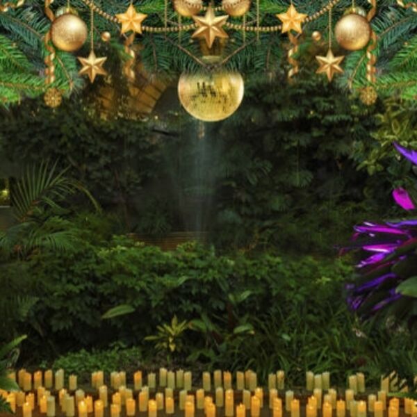 Магия свечей. От Вивальди до Jingle Bells