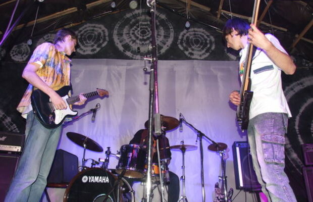 ТюльпанДжек