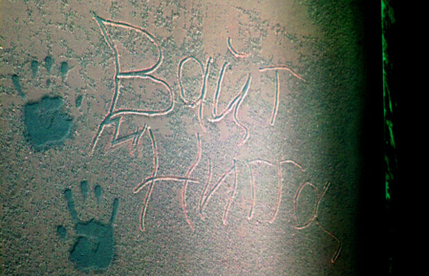 Айли Вайт Нигга