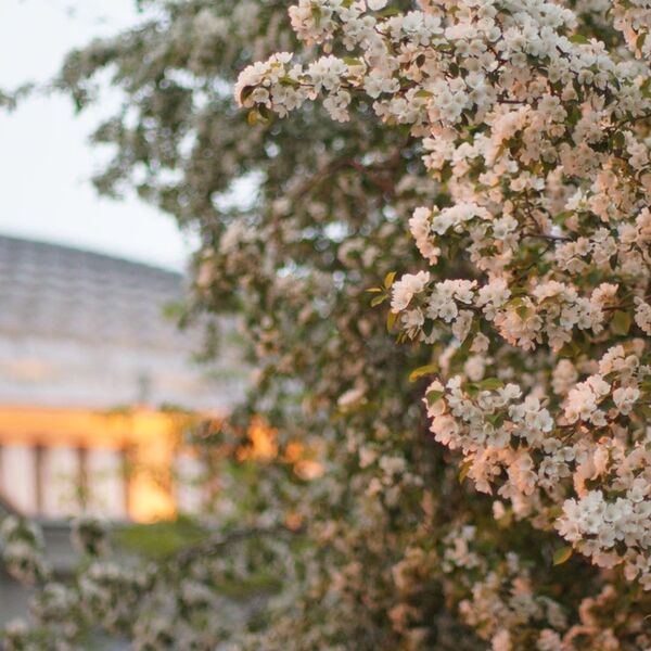 Славный май