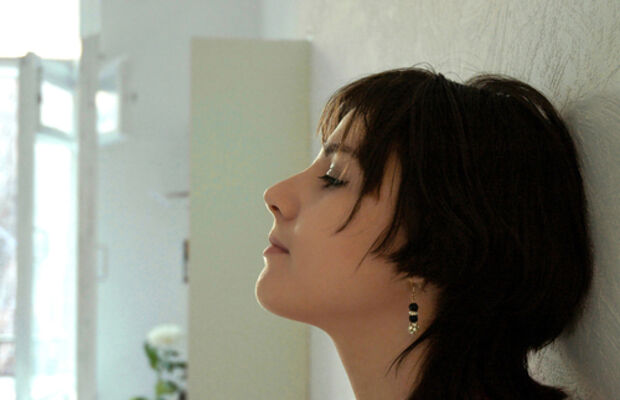 Адаптация Пчёл