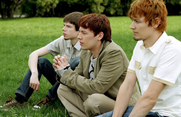 Адаптация Пчёл