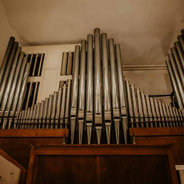 Орган и только орган