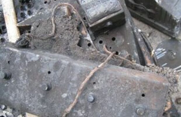 Содомированный изверг