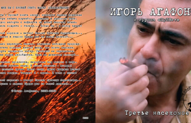 Третье насекомое