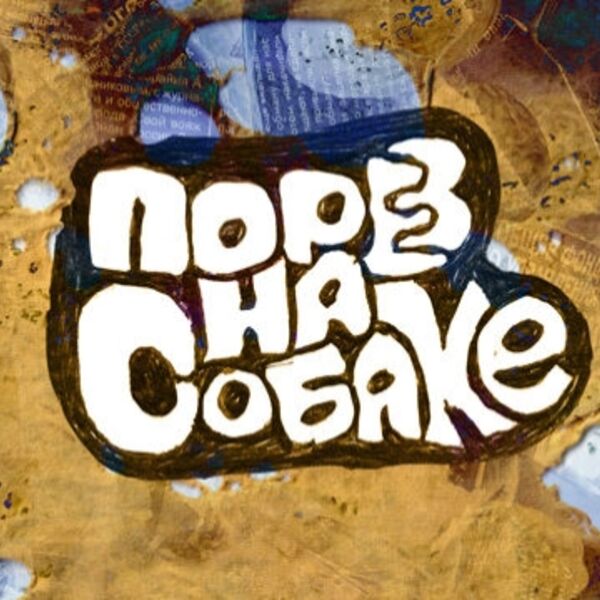 Порез на Собаке